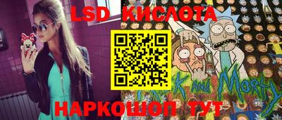 прущие грибы Заводоуковск