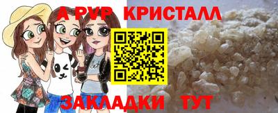 прущие грибы Заводоуковск