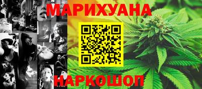 прущие грибы Заводоуковск
