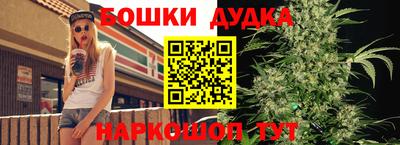 прущие грибы Заводоуковск