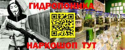 прущие грибы Заводоуковск