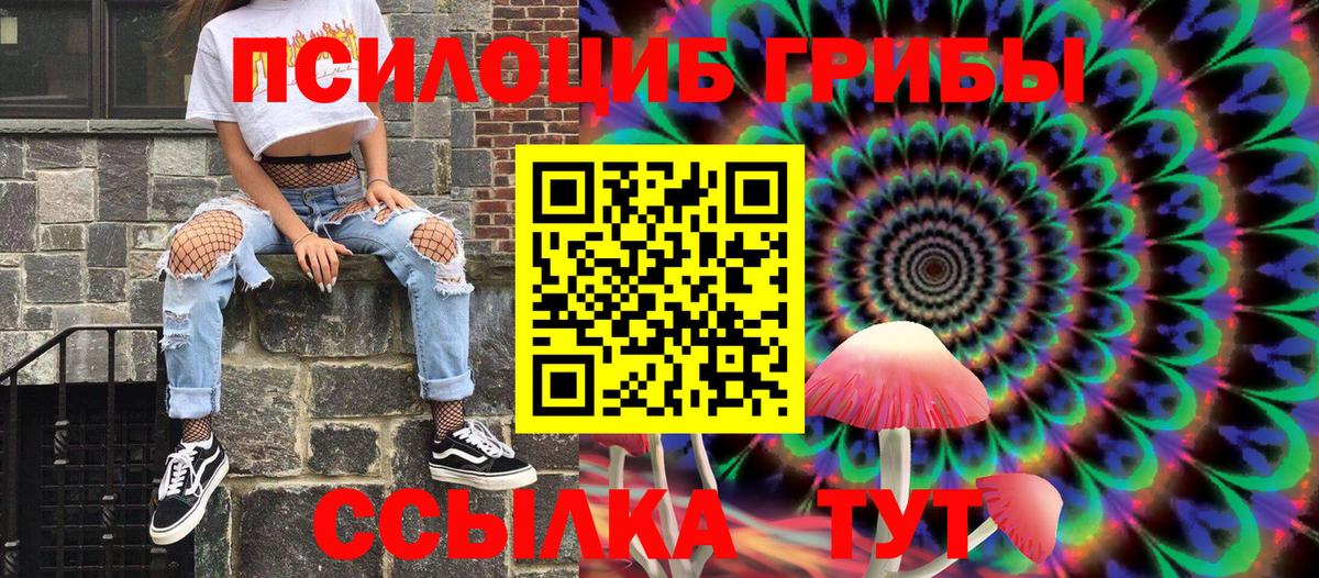 Мичуринск  Псилоцибиновые грибы мицелий  Вход с VPN  Галлюциногенные грибы Magic Shrooms 